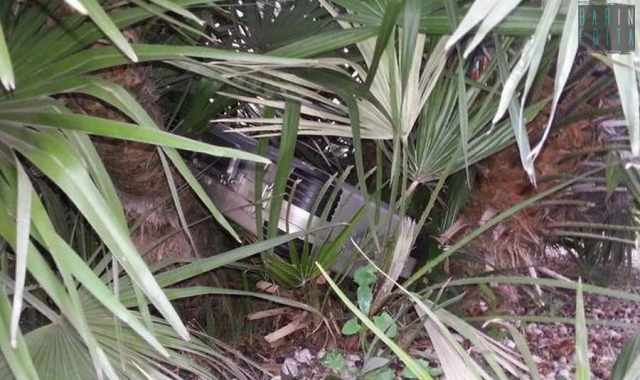 Bari, nei giardini di fronte al Petruzzelli nascosti valigie, borse, cinture e portafogli